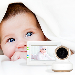 ����� ��������� ��� ���� ����������� � �����������.